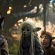 Illustration for article titled Netflixs iThe Dark Crystal/i prequel gets some wild new images and a release date
